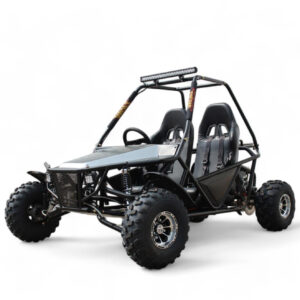 Batman 200 DLX Go-Kart