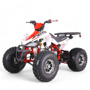 TaoMotor 125 Cheetah DLX Kids