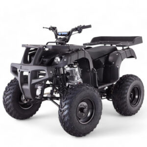 TaoMotor Rhino 250